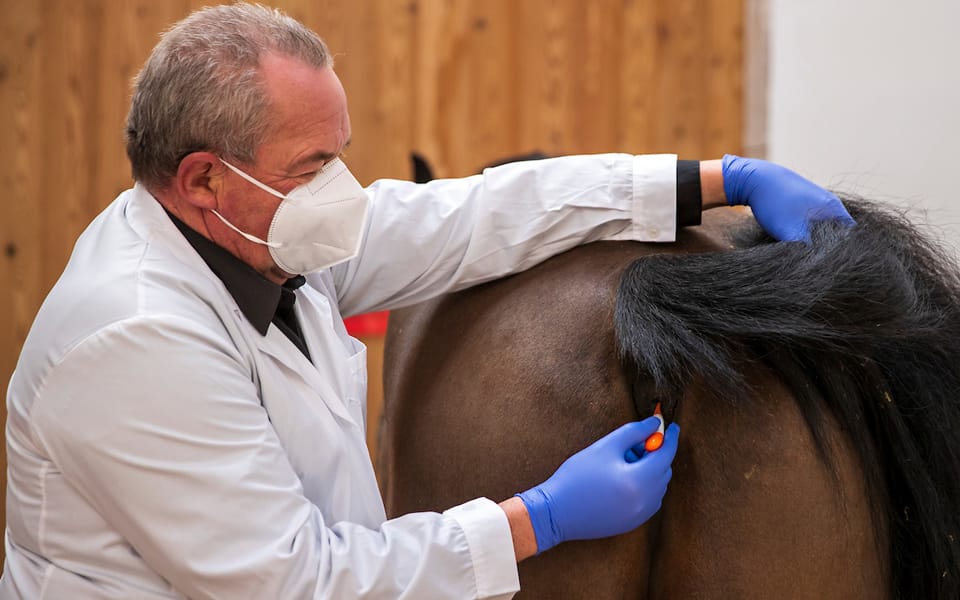 Symbolbilder Herpes Impfung 2021 Foto: Lafrentz