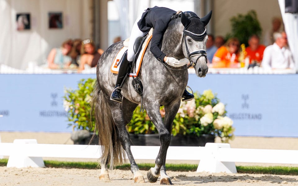 JENSEN-Mette-Sejbjerg-(DEN),-Proud-James_SL_1288-012-2988